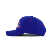Gators Team Lofi Pro Snapback