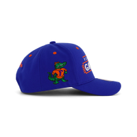 Gators Team Lofi Pro Snapback
