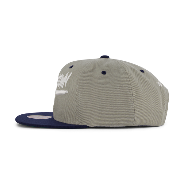 Hoyas Transcript Snapback