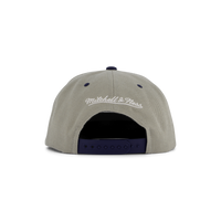 Hoyas Transcript Snapback