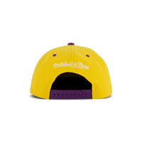 LSU Transcript Snapback