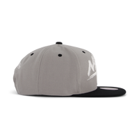 Nets Transcript Snapback