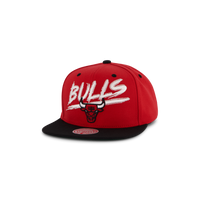 Bulls Transcript Snapback