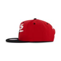 Bulls Transcript Snapback