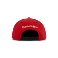 Bulls Transcript Snapback