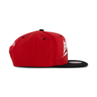 Bulls Transcript Snapback