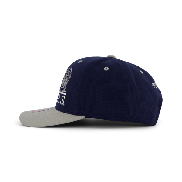 Hoyas GPA Snapback