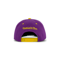 LSU GPA Snapback