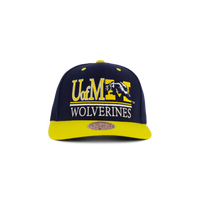 Wolwerines GPA Snapback