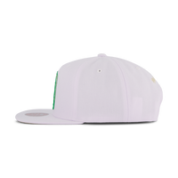Celtics Winter Snapback