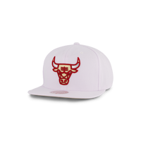 Bulls Winter Snapback