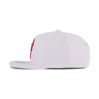 Bulls Winter Snapback