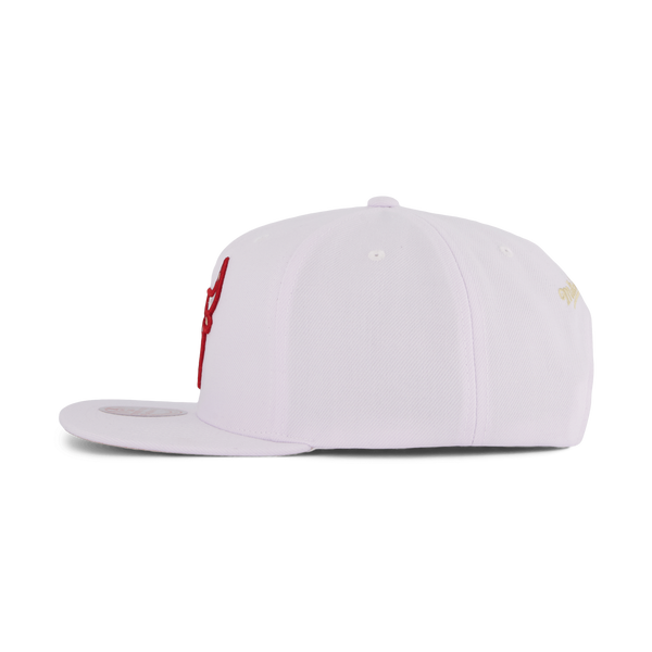 Bulls Winter Snapback