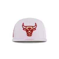 Bulls Winter Snapback