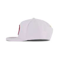 Hawks Winter Snapback
