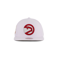 Hawks Winter Snapback