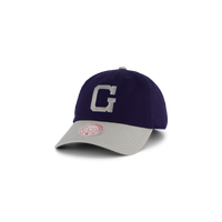 Hoyas Team 2 Tone 2.0 Dad Strapback