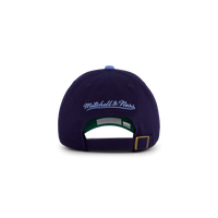 UNC Team 2 Tone 2.0 Dad Strapback