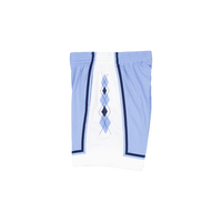 Swingman Shorts - North Caroli Light Blue