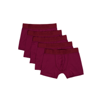 Boxer Bamboo 5-pack Regular Le 19
