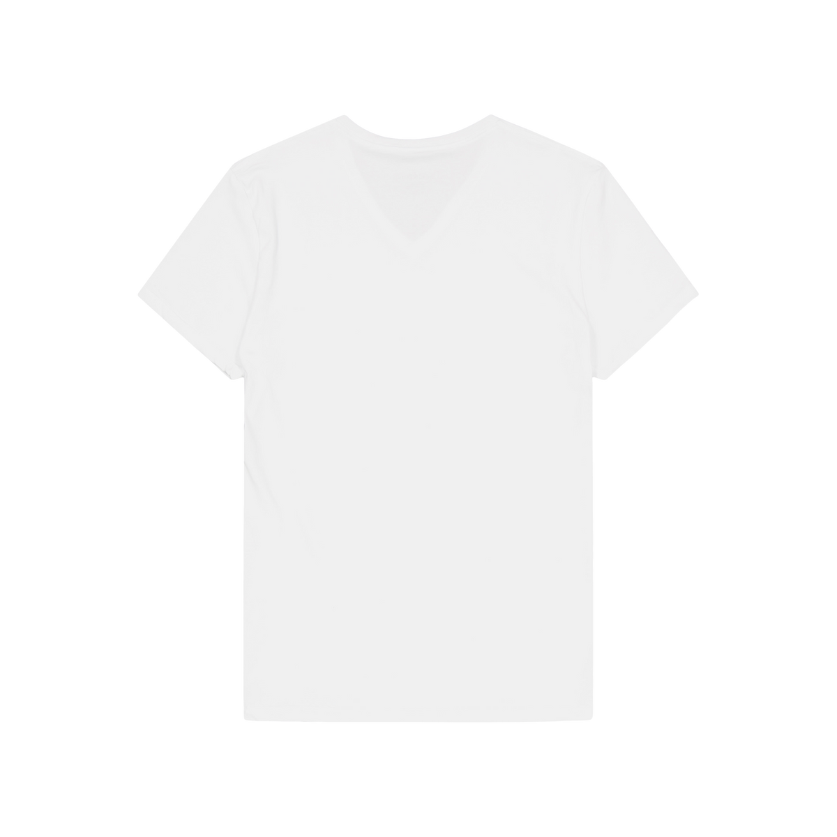 2-pack V-neck