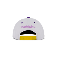 Lakers Retrodome Pro Snapback