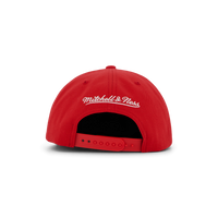 Bulls Champ Stack Snapback