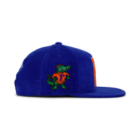 Gators All Directions Snapback