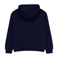 Polo Ralph Lauren Graphic Fleece Hoodie Cr23 Cruise  Paint Bear