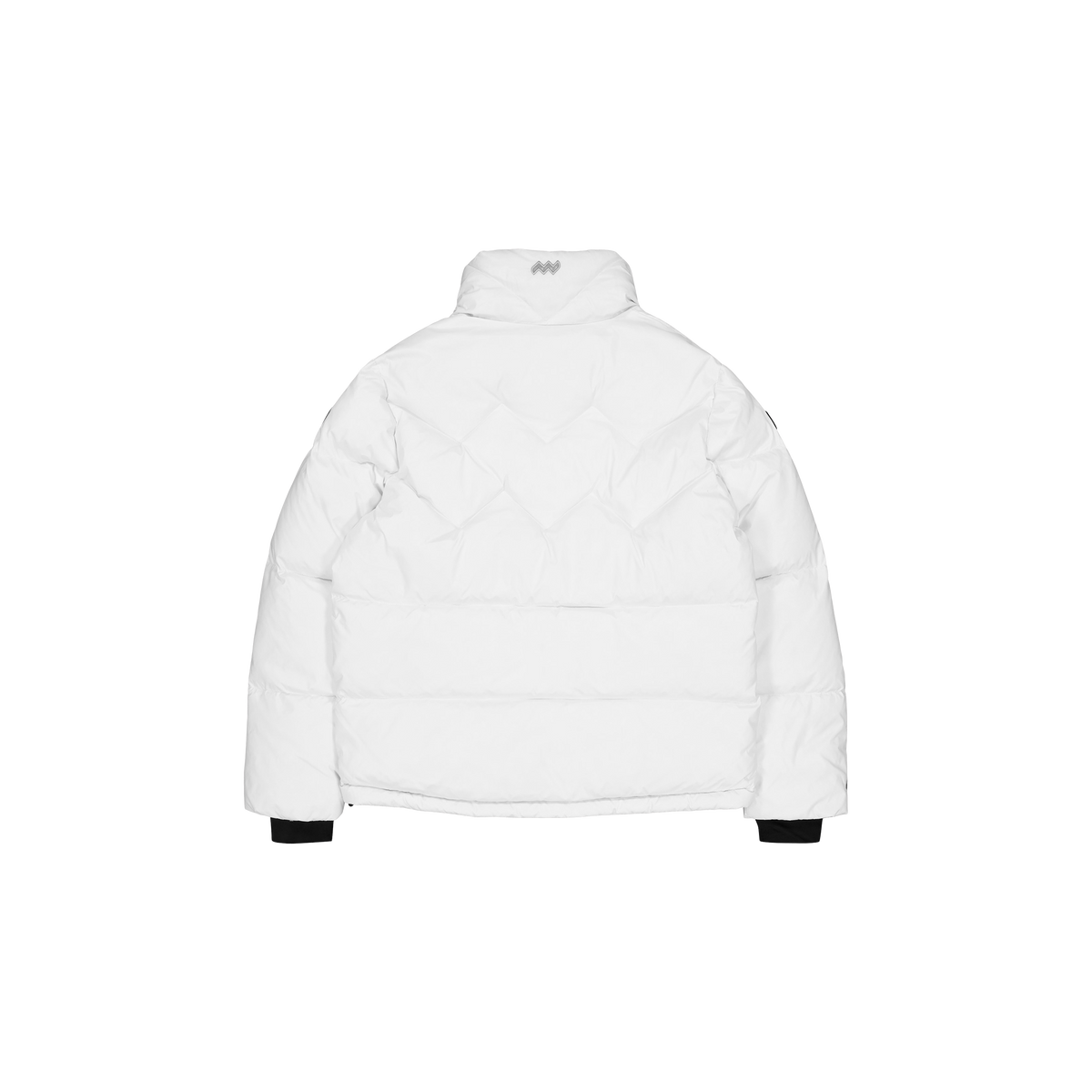 Paragon Down Parka
