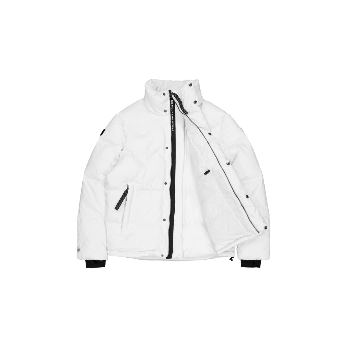 Paragon Down Parka