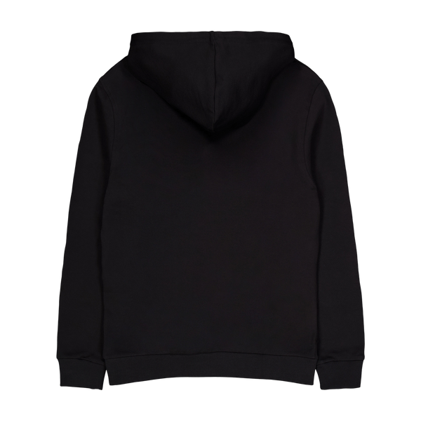 Copenhagen 2011 Hoodie