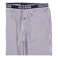 Woven Pant Ithaca Stripe