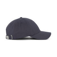 Essential Patch Bb Cap Iron Gate