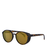 Rickard Turtle Brown