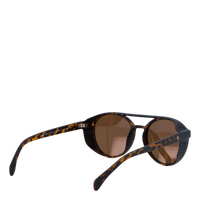 Rickard Turtle Brown