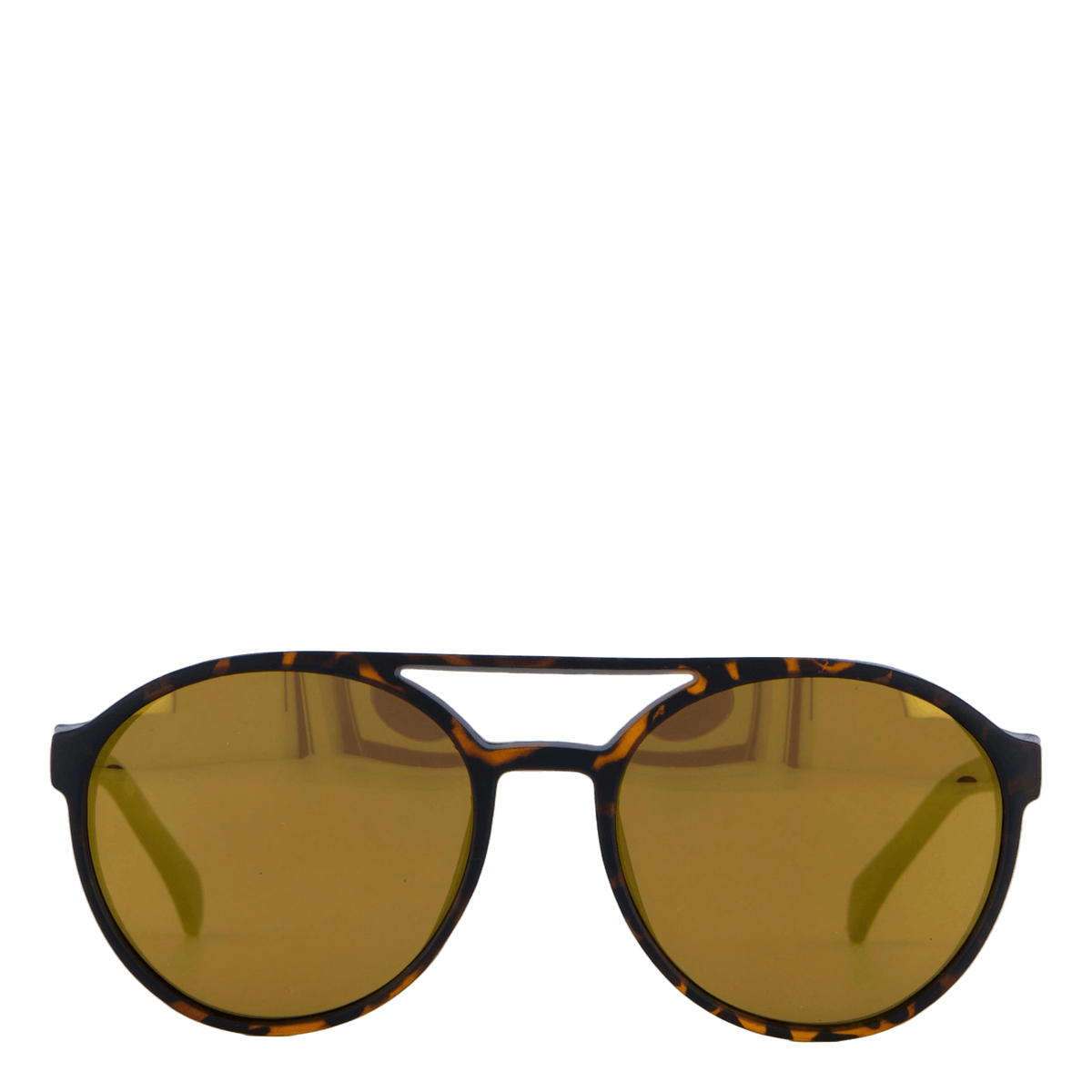 Rickard Turtle Brown