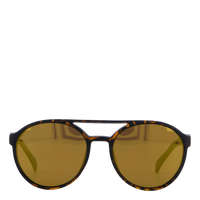 Rickard Turtle Brown