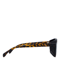 Rickard Turtle Brown