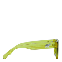 Max Transparent Olive