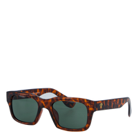 Tone Turtle Brown