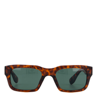 Tone Turtle Brown