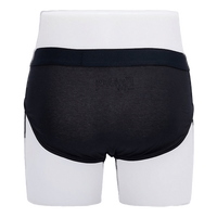 Brief