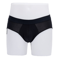 Brief
