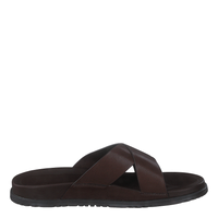 Wainscott Slide Grizzly