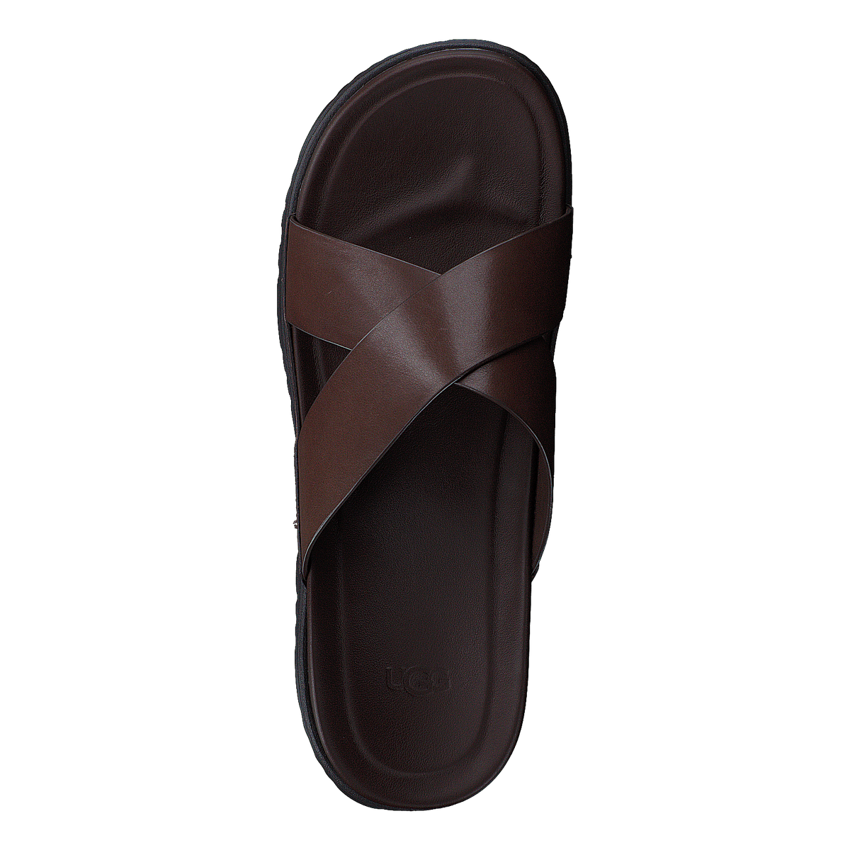 Wainscott Slide Grizzly