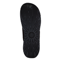 Wainscott Slide Grizzly