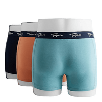 Men's Regular Boxer 3-p Mixed