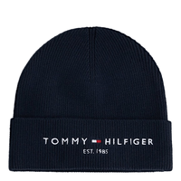 Th Established Beanie
