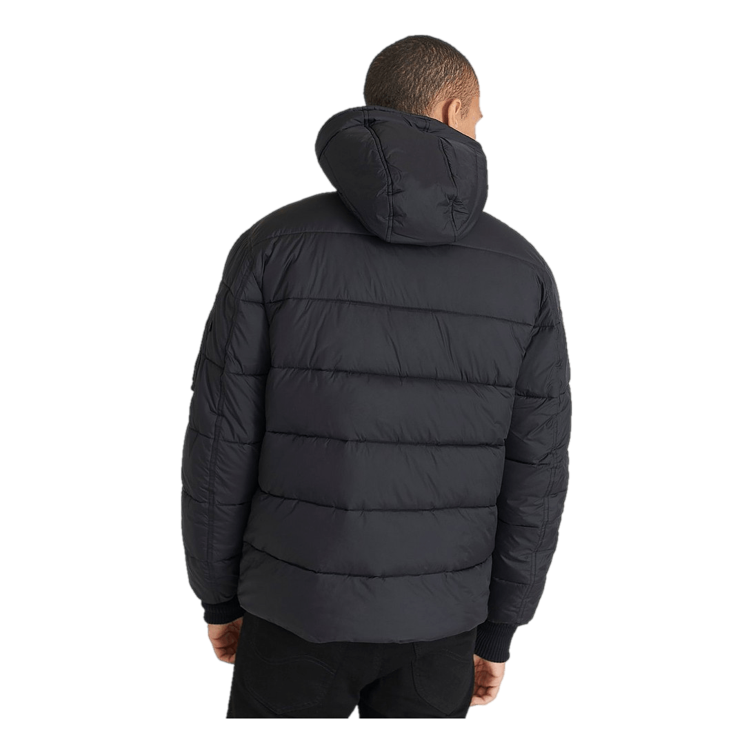 Hooded Puffer Alpha Fd